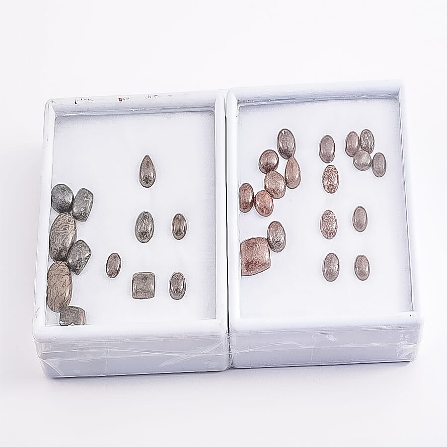 Coprolite (Mix Mix mm)
