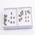 Coprolite (Mix Mix mm) - Sticky add to cart bar