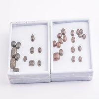 Coprolite (Mix Mix mm)