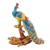 Peacock on Tree