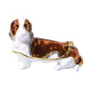 Dachshund