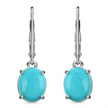 Iliana 18K White Gold AAA Sleeping Beauty Turquoise Lever Back Earrings 2.15 Grams 4.15 ctw - Sticky add to cart bar