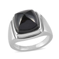 California Black Jade Men's Ring in Stainless Steel (Size 10.0) 14.20 ctw - Sticky add to cart bar