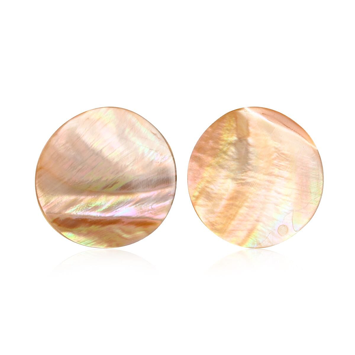 Brown Coconut Shell Earrings in Stainless Steel