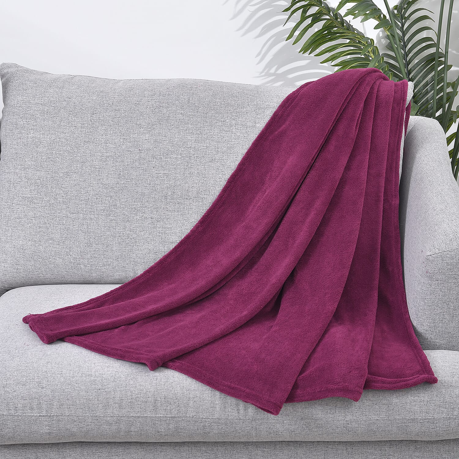 Solid color Coral fleece blanket,200gsm