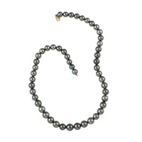 18K Yellow Gold Lobster Lock AAA Tahitian Cultured Pearl Necklace 18 Inches