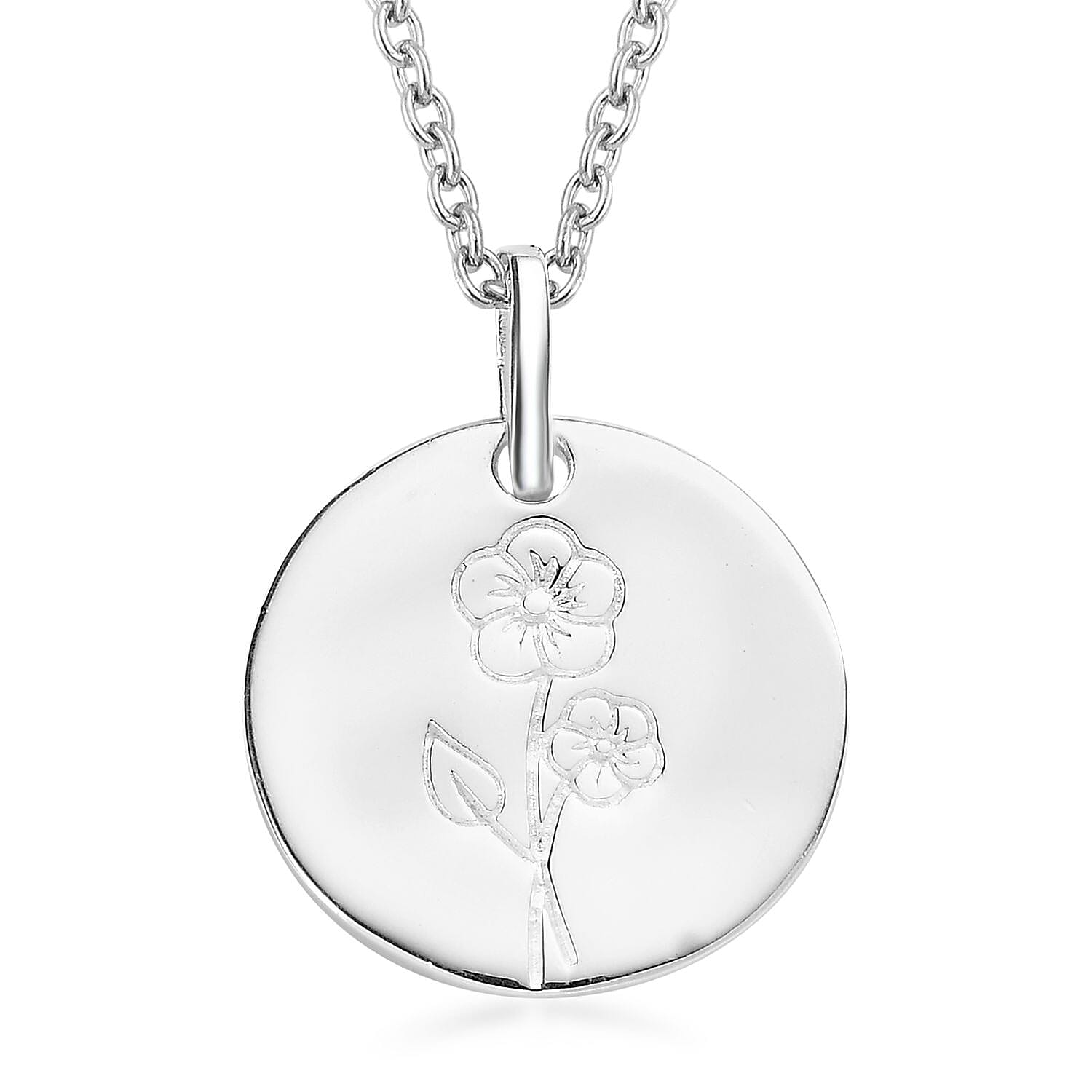 Pendant in Sterling Silver with Necklace 20 Inches