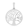 10K White Gold