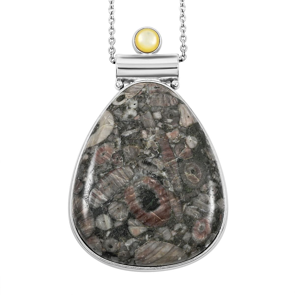 Center Stone Color Varies Insect Fossil Jasper 53.00 ctw Inlay Drop Frame Pendant in Silvertone with Stainless Steel Necklace (20 Inches)