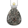 Insect Fossil Jasper