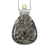 Center Stone Color Varies Insect Fossil Jasper 53.00 ctw Inlay Drop Frame Pendant in Silvertone with Stainless Steel Necklace (20 Inches)