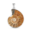 Polished Ammonite 42.00 ctw Pendant in Silvertone with Stainless Steel Necklace 20 Inches - Sticky add to cart bar