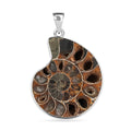 Polished Ammonite 91.00 ctw Pendant in Silvertone with Stainless Steel Necklace 20 Inches - Sticky add to cart bar