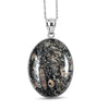 Fossil Insect Jasper