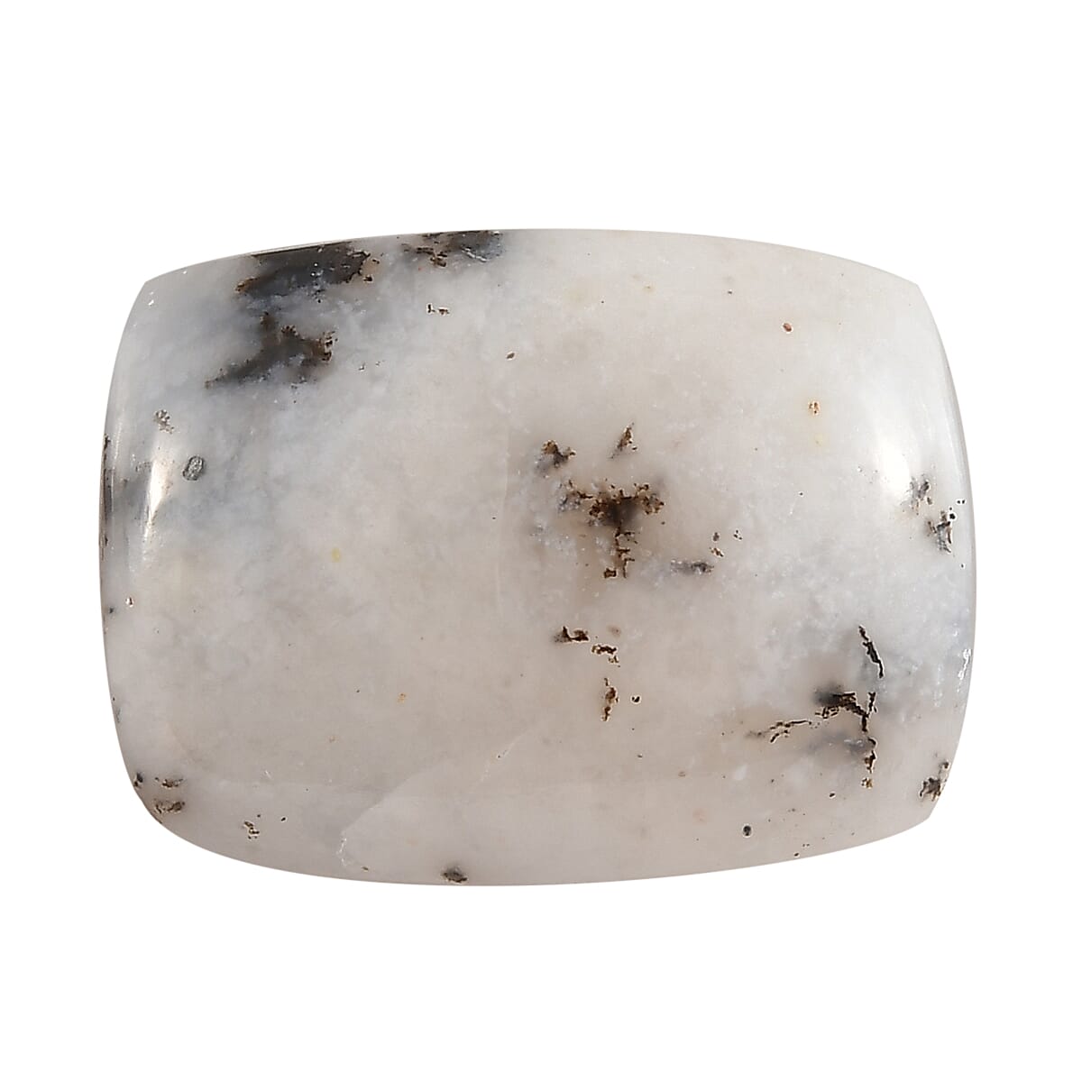 Dendritic Agate (Cush 16x12 mm) 6.40 ctw