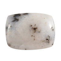 Dendritic Agate (Cush 16x12 mm) 6.40 ctw