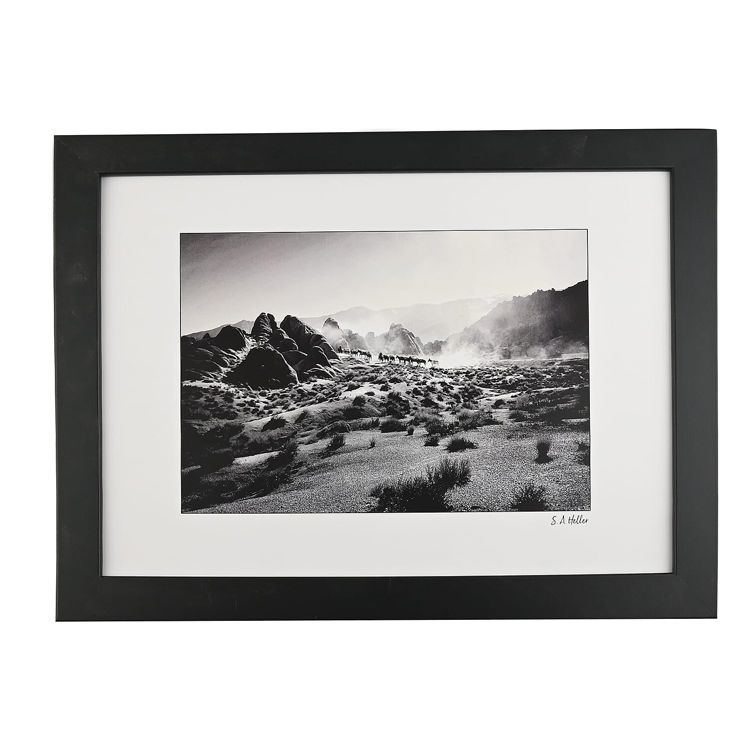 Black and White Horses In The Desert 14x18 framed Print