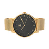 Gold & Black