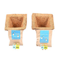Set of 2 Grow it Yourself Plant Kit Seed Marigold - Sticky add to cart bar