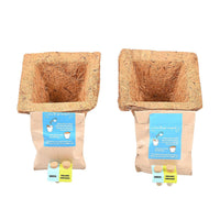 Set of 2 Grow it Yourself Plant Kit Seed Marigold