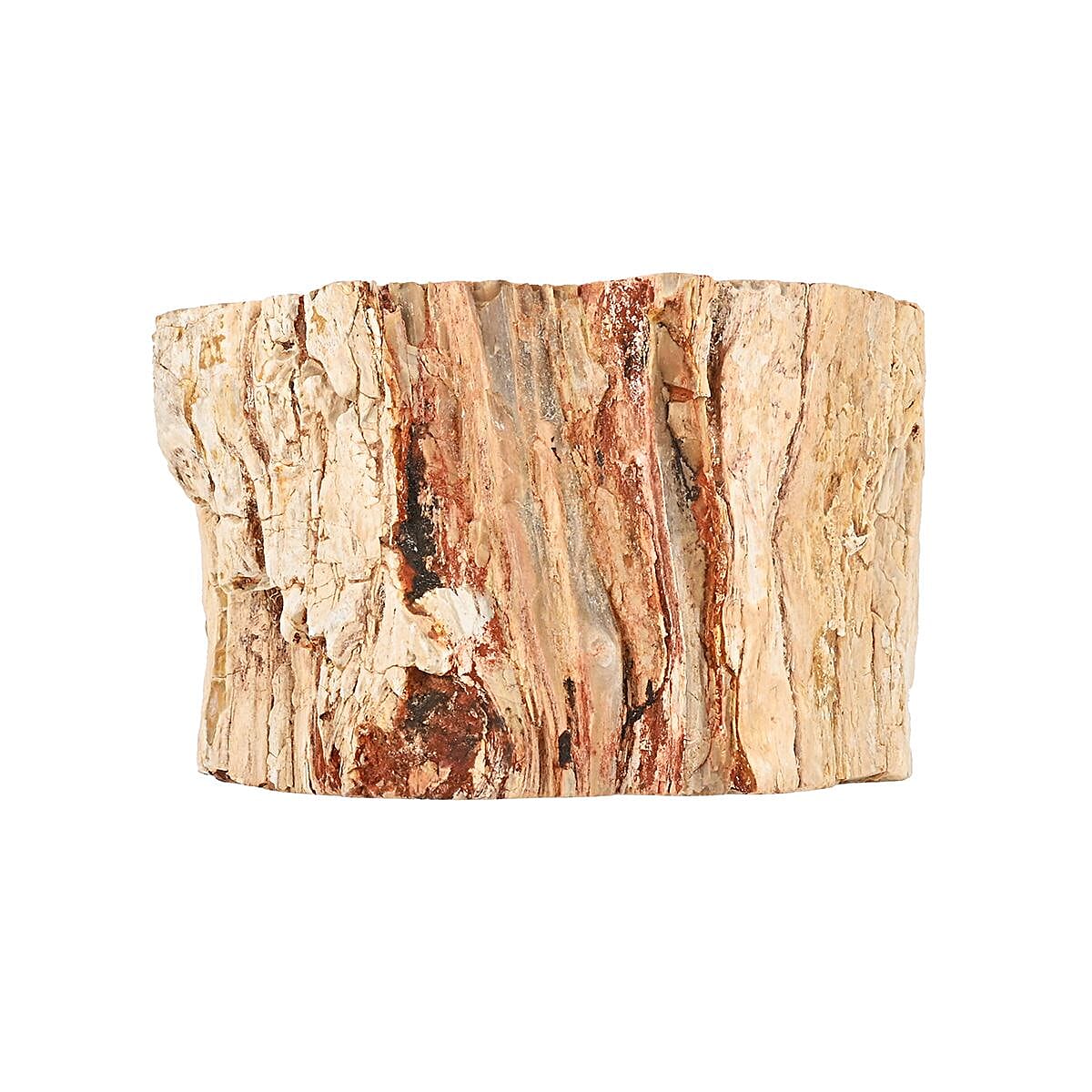 Petrified Wood Branches- M (Approx. 3602ctw)