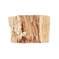 Petrified Wood Branches- M (Approx. 3602ctw)