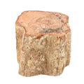 Petrified Wood Branches -S (Approx. 1305 ctw) - Sticky add to cart bar