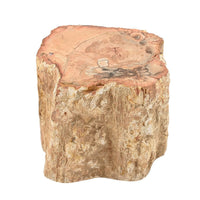 Petrified Wood Branches -S (Approx. 1305 ctw)