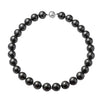 Tahitian Shell Pearl
