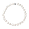 White Shell Pearl