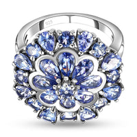 Tanzanite Ring in Platinum Over Sterling Silver (Size 10.0) 3.78 ctw