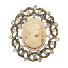 Brown Cameo II