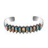 Spiny Turquoise