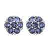 Tanzanite Crystal