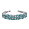 Sleeping Beauty Turquoise