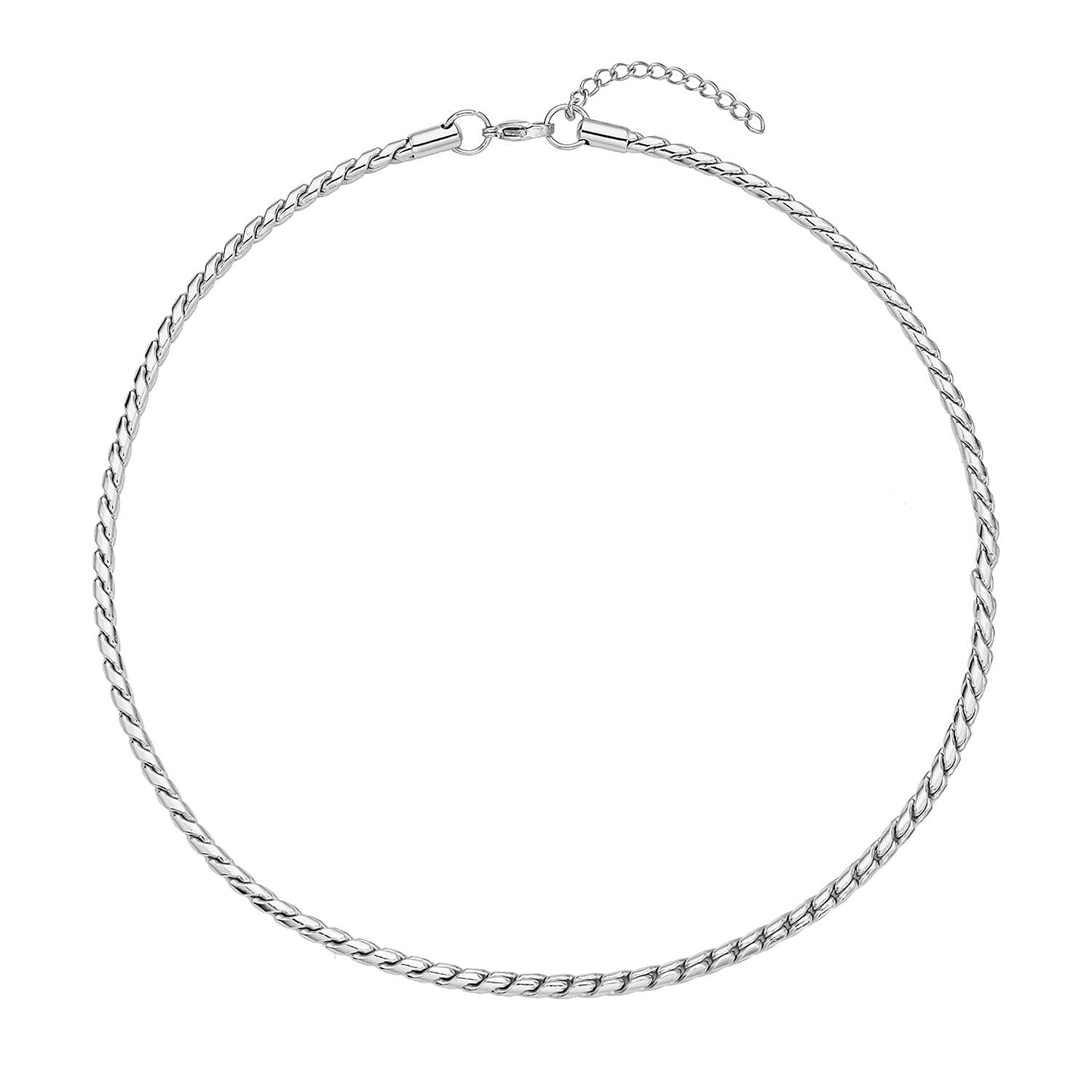 Roller Chain Necklace (22-24 Inches) in Stainless Steel