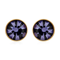 Purple Austrian Crystal Stud Earrings in ION Plated YG Stainless Steel