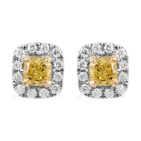 14K White & Yellow Gold Natural Yellow Diamond Cushion with White Diamond Halo Stud Earrings 0.50 ctw
