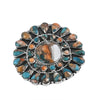 Spiny Turquoise