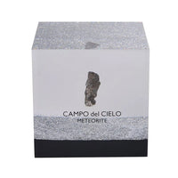 Campo Del Cielo Marvelous Meteorite Specimen
