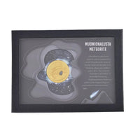 Muonionalusta Marvelous Meteorite Stone Piece Coin in Goldtone