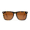Leopard Brown