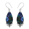 Abalone Shell