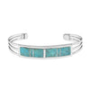 Kingman Turquoise