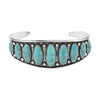 Kingman Turquoise