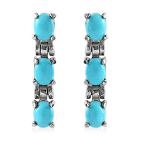 Sleeping Beauty Turquoise Dangle Earrings in Stainless Steel 1.00 ctw
