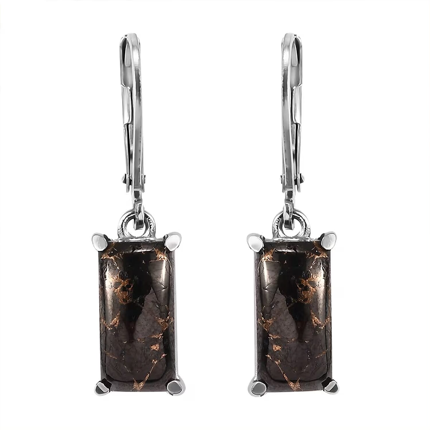 Matrix Silver Shungite 3.75 ctw Lever Back Earrings in Stainless Steel