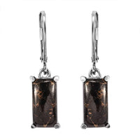 Matrix Silver Shungite 3.75 ctw Lever Back Earrings in Stainless Steel