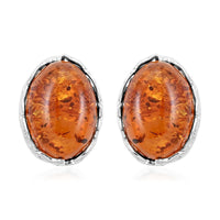 Baltic Amber Stud Earrings in Sterling Silver