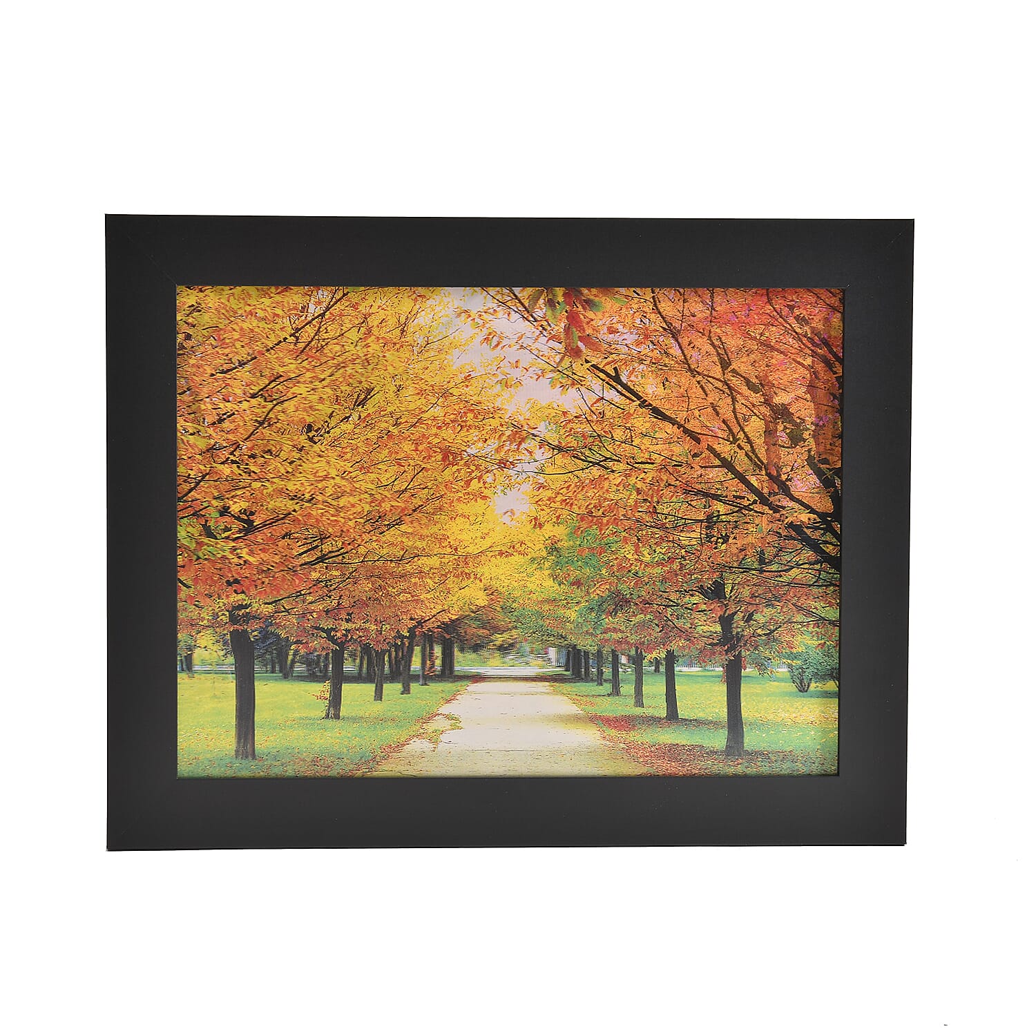 Witch 3D Holographic Painting 3 Images in 1 Picture Frame